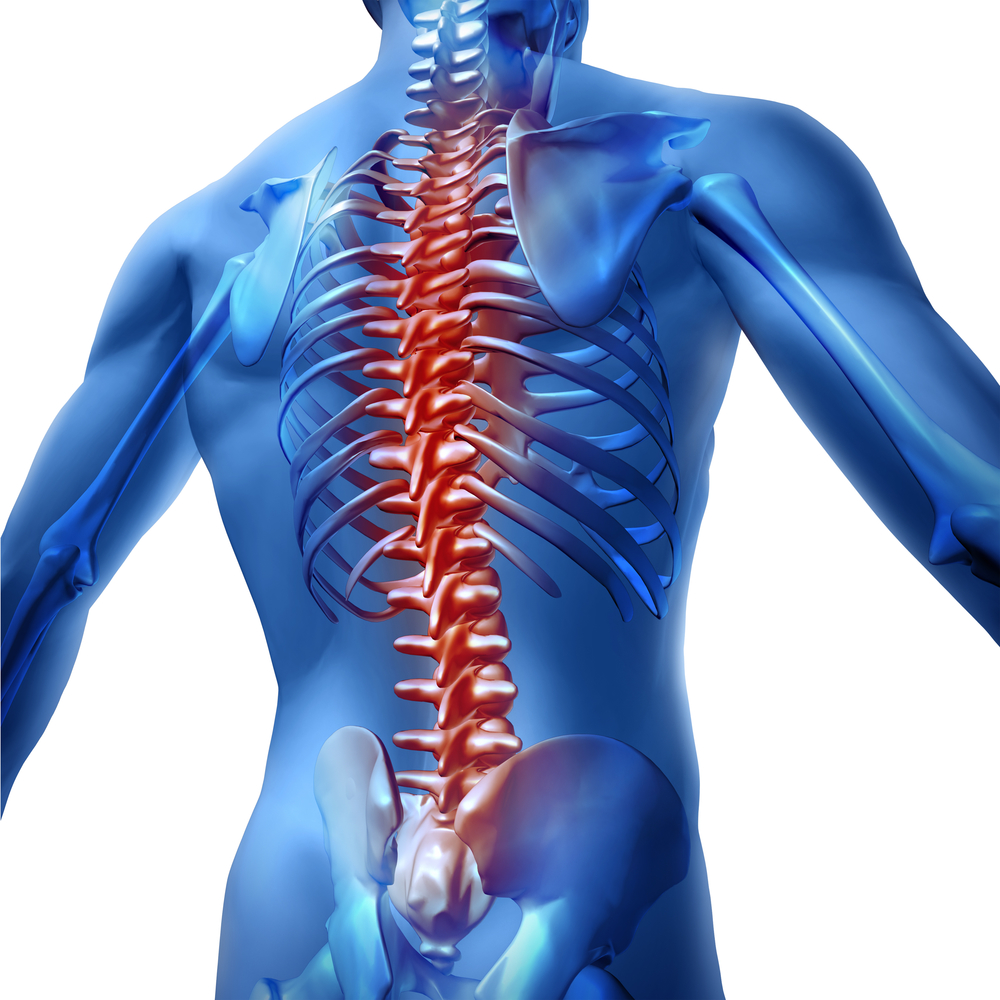 Spine Therapies