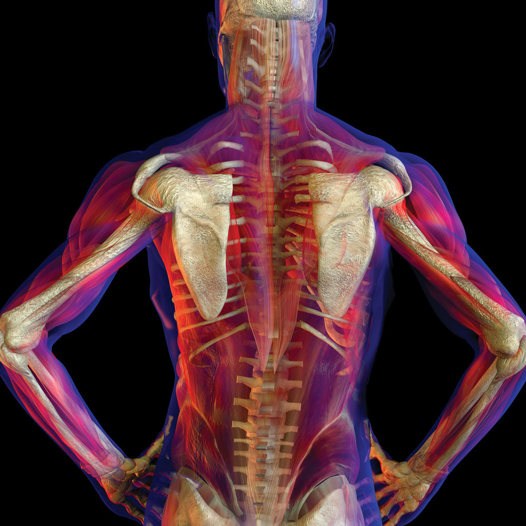 Neuromodulation Spine Illustration